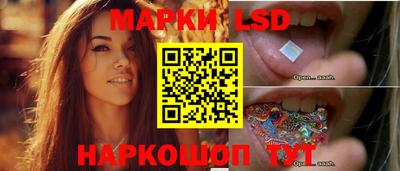 гашик Будённовск