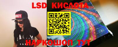 гашик Будённовск