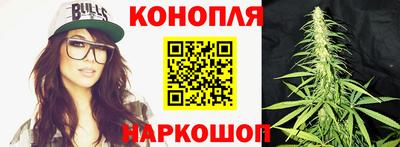 гашик Будённовск