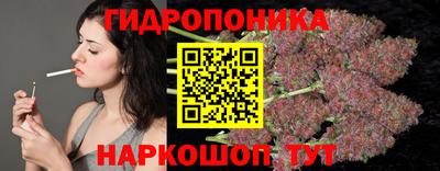 гашик Будённовск