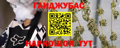 гашик Будённовск