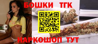 гашик Будённовск
