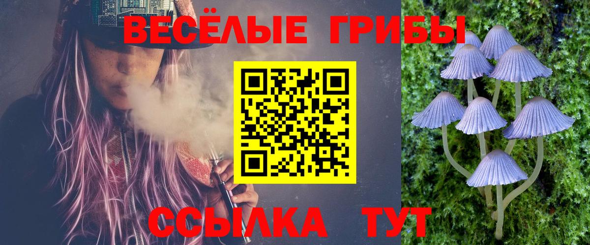 Родники  Галлюциногенные грибы Cubensis  Галлюциногенные грибы Cubensis  Вход с VPN 